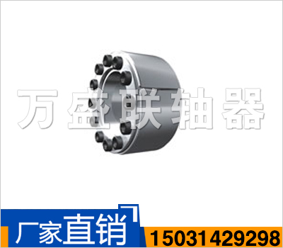 Z18型脹緊聯(lián)結套